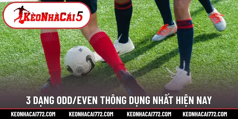 3 dạng Odd/Even thông dụng nhất hiện nay