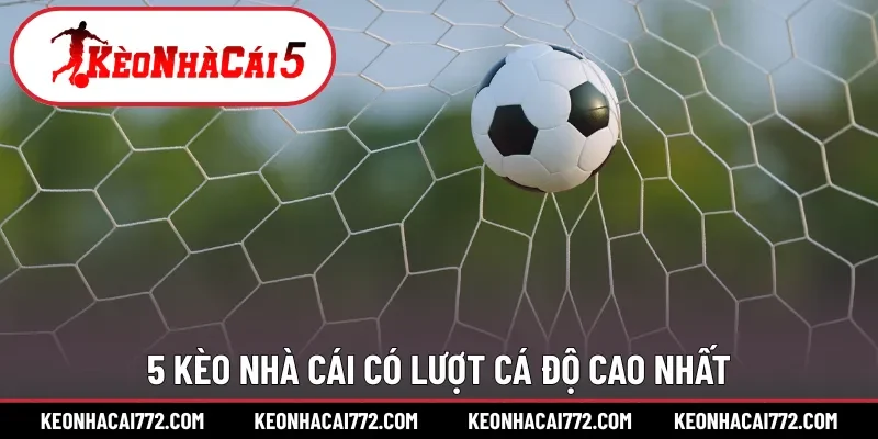 5 kèo nhà cái có lượt cá độ cao nhất