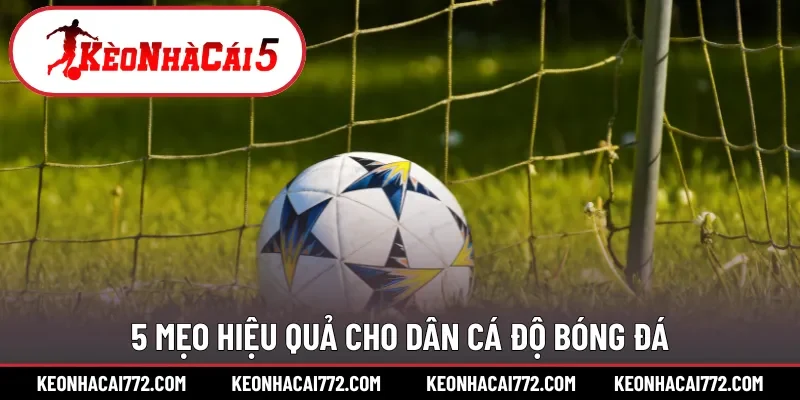 5 mẹo hiệu quả cho dân cá độ bóng đá