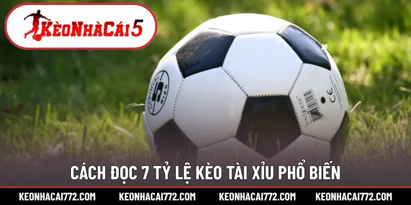 Cách đọc 7 tỷ lệ kèo tài xỉu phổ biến