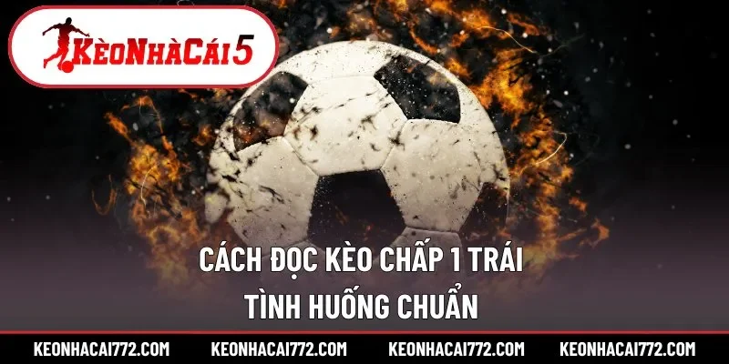 Hướng dẫn đọc tỷ lệ 1/4 cực chuẩn 