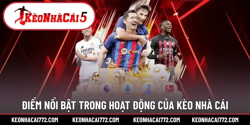 Sức hút từ chất lượng dịch vụ website mang lại