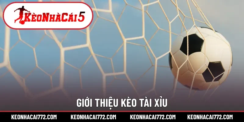 Giới thiệu kèo tài xỉu
