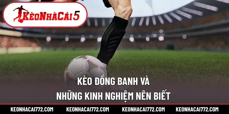 Loạt kiến thức thực tế do cao nhân đúc kết cho tân binh