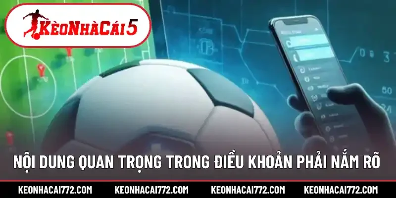 Nội dung quan trọng trong điều khoản phải nắm rõ