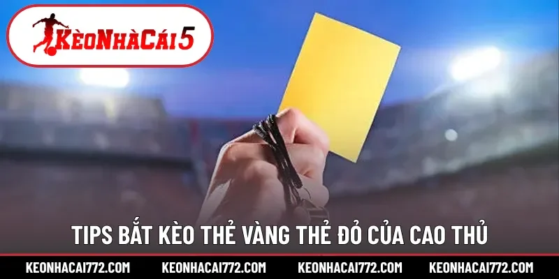 Tips bắt kèo thẻ vàng thẻ đỏ của cao thủ