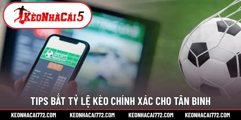 Tips bắt tỷ lệ kèo chính xác cho tân binh