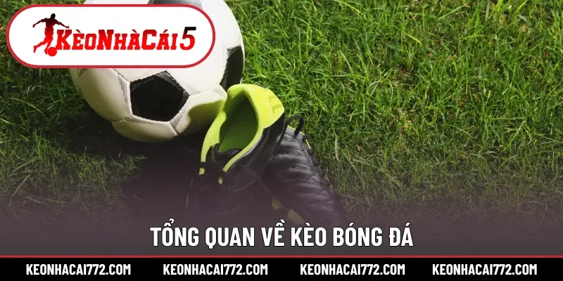 Tổng quan về kèo bóng đá
