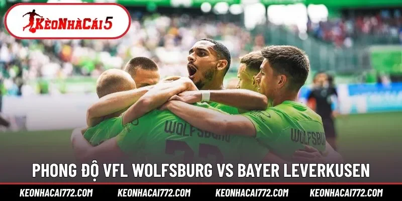 Đánh giá phong độ VfL Wolfsburg vs Bayer Leverkusen