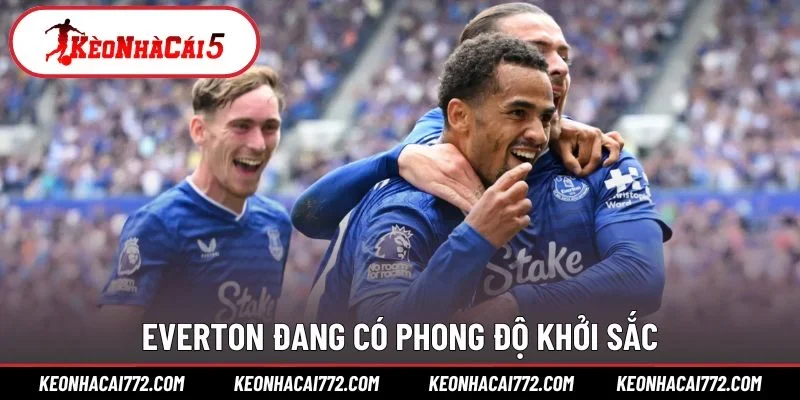 Everton đang có phong độ khởi sắc