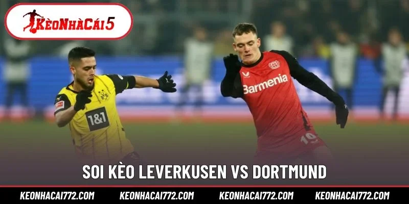 Soi kèo Leverkusen vs Dortmund