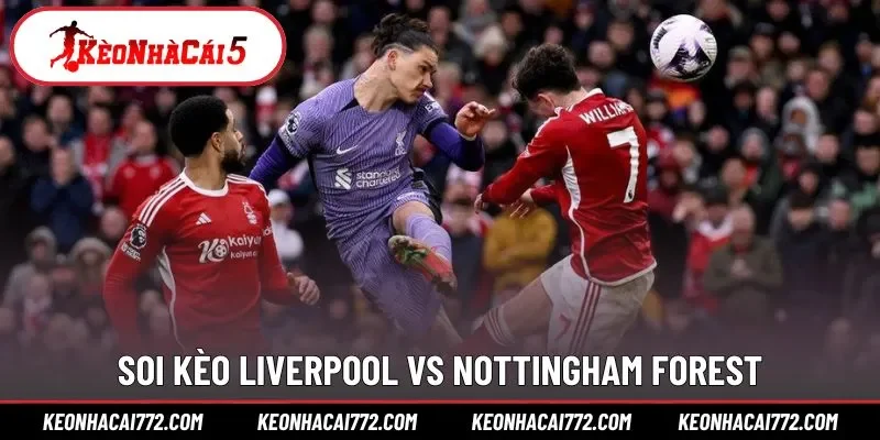 Soi kèo Liverpool vs Nottingham Forest cùng chuyên gia